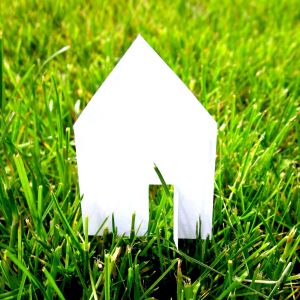 small white house made of paper sitting in the long green grass