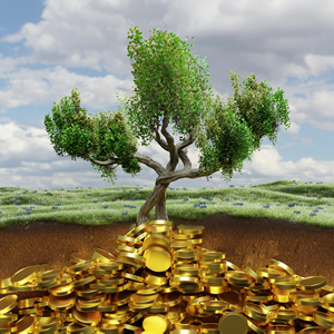Money tree