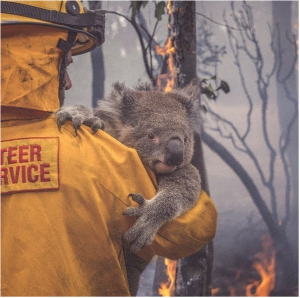 Australia Bushfires